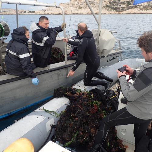 © Parc national des Calanques