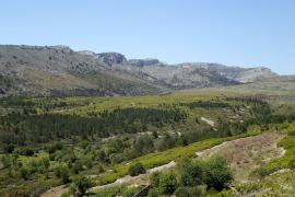 Plateau de la Gineste © M.-A. Lien - Parc national des Calanques