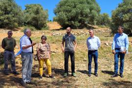 De gauche à droite: Jean-Martin Schulz, administrateur de la Fondation BTP Plus, Christine Hérail, responsable d'unité aux Jardins de l’espérance, Giacomo Baldin, chargé d'ingénierie financière au Parc national des Calanques, Eric Belrivo, adjoint au maire de La Ciotat et François Bland, directeur du Parc national des Calanques 