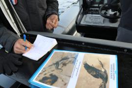 Observation de la nidification des cormorans huppés de Méditerranée par les agents du Parc. © Jane Dziwinski