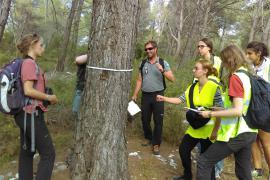 Au gré de leurs itinérances sauvages accompagnés par des agents et acteurs locaux, les étudiants ont dû réaliser différentes mesures pour évaluer si les milieux sont favorables à la biodiversité. Ici la mesure des diamètres des arbres permet d'identifier s'il y a suffisament de gros arbres vivants et morts dans une forêt pour apporter le gite et le couvert à de nombreuses espèces forestières. Pour information 20% des espèces forestieres européennes se trouvent uniquement dans le bois mort d'où l'importance 