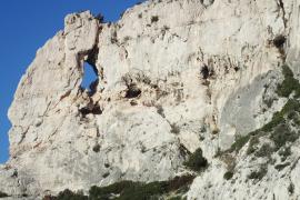 Falaise © Parc national des Calanques