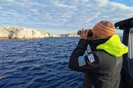 Observation de la nidification des cormorans huppés de Méditerranée par les agents du Parc. © Jane Dziwinski